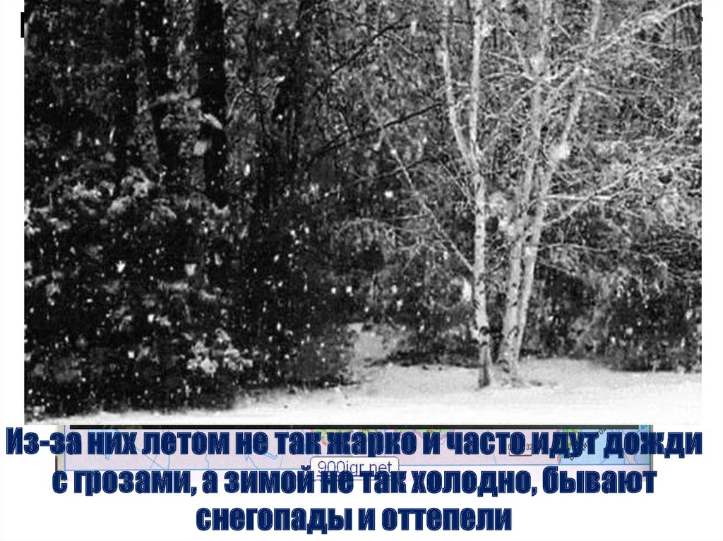 В европейской части лесной зоны преобладают влажные ветры с Атлантики