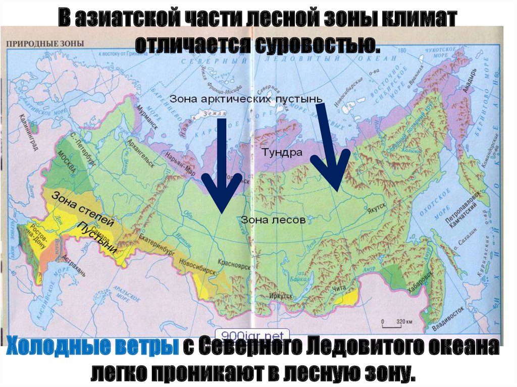 Климат азиатской части. Дорожно-климатические зоны России карта. Таксимо климатическая зона. Картинка в азиатской части Лесной зоны.