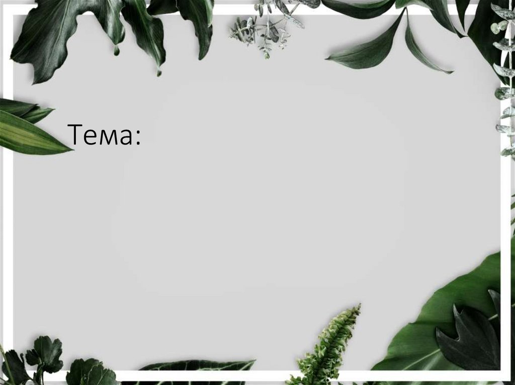 Тема: