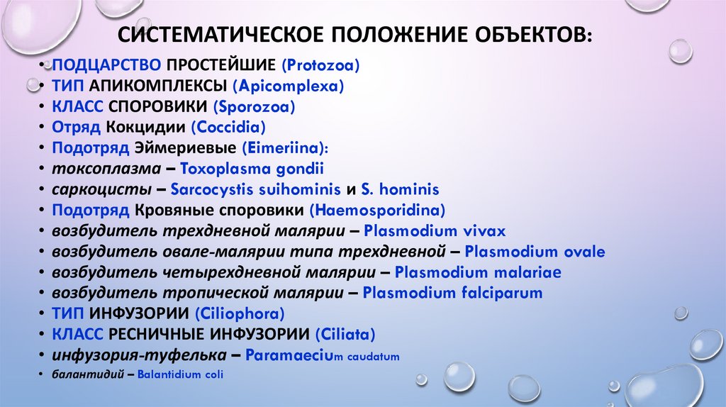 Положение на латыни. Balantidium coli систематика. Класс Споровики систематика. Токсоплазма систематика. Систематическое класс систематическое положение.