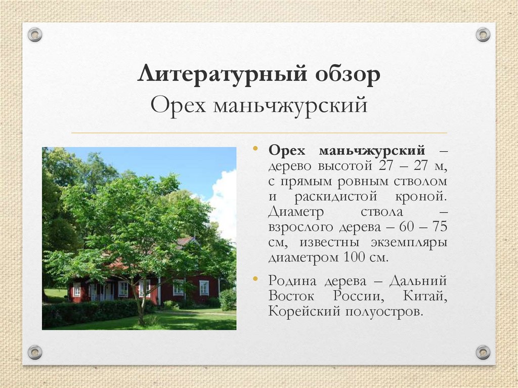 Литературный обзор Орех маньчжурский