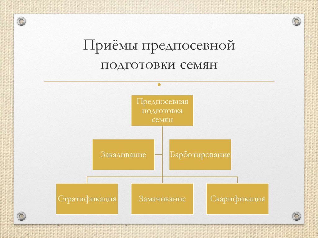 Приёмы предпосевной подготовки семян