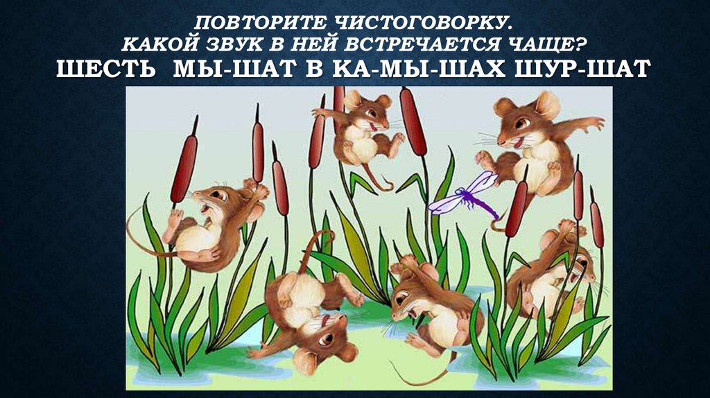 Повторите чистоговорку. Какой звук в ней встречается чаще? Шесть мы-шат в ка-мы-шах шур-шат