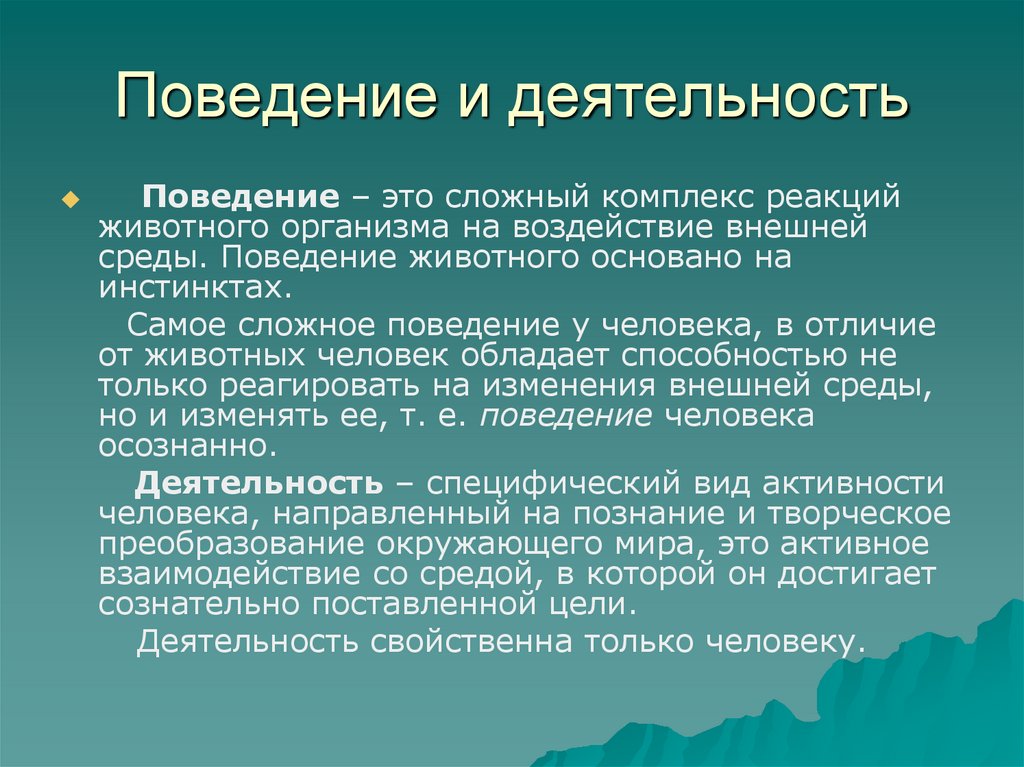 Деятельность и поведение. Поведенческая деятельность. Сложные поведенческие реакции. Поведенческая активность.