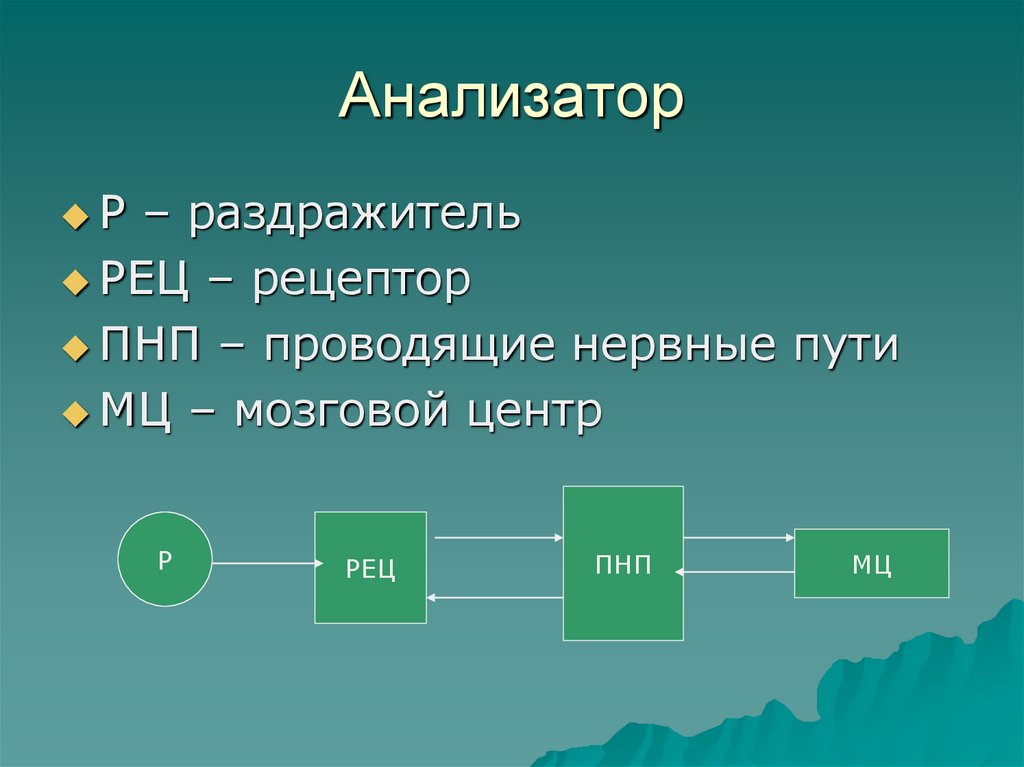 Анализатор