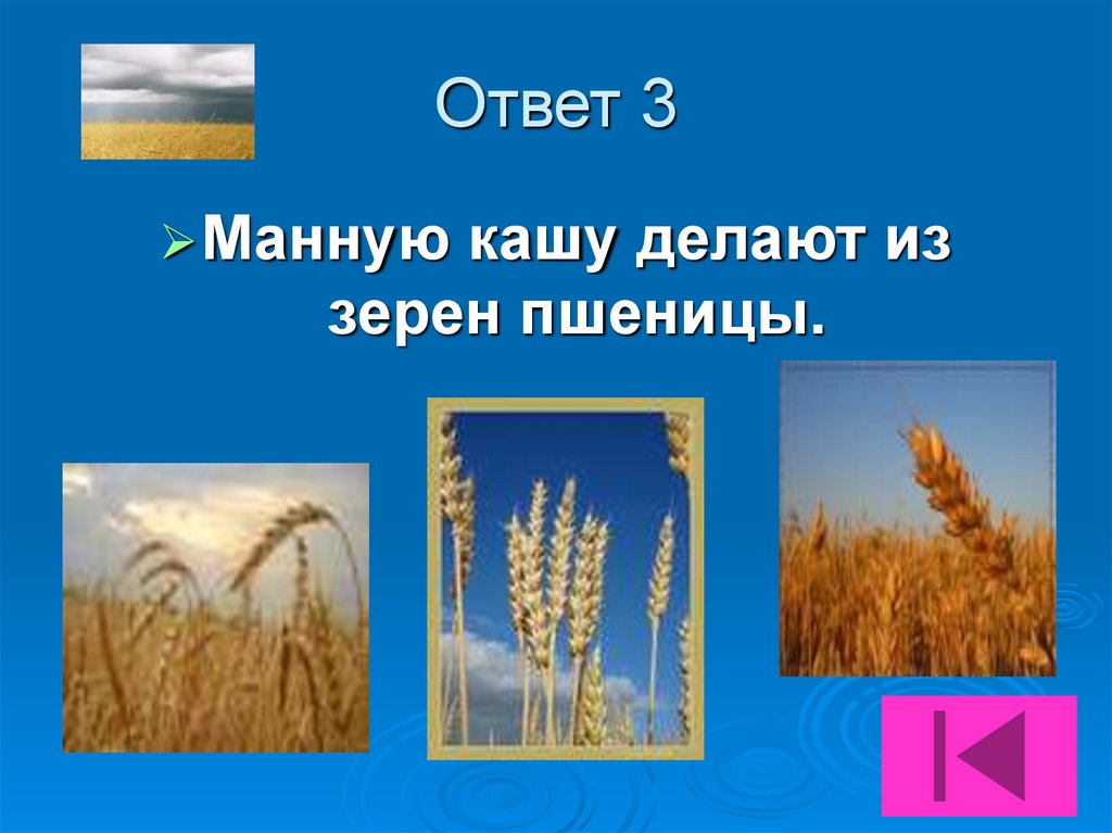 Ответ 3