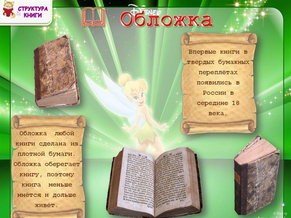 Из чего состоит книга презентация