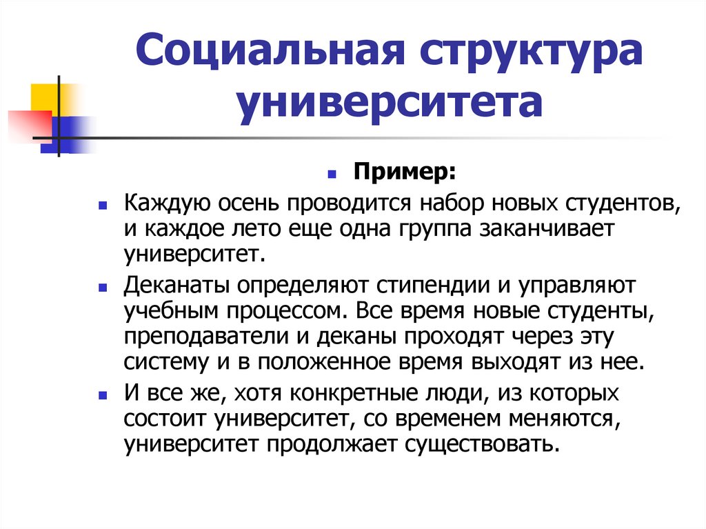 Социальная структура университета