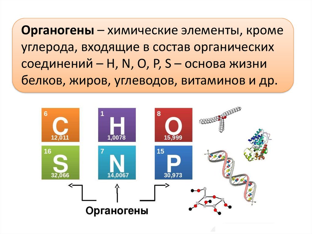 Химические элементы входящие в состав. Органогены. Элементы органогены. Органогенные химические элементы. Перечислите органогенные элементы.