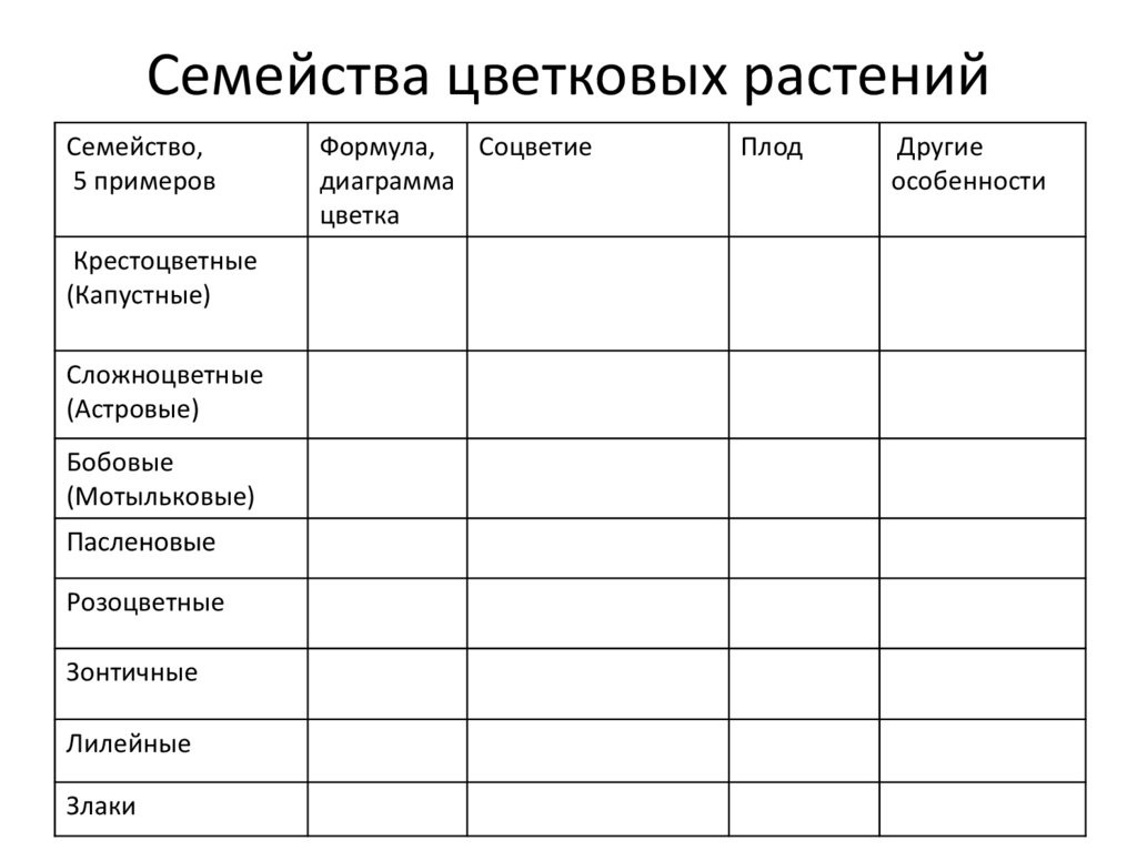 Презентация семейства цветковых растений 6 класс