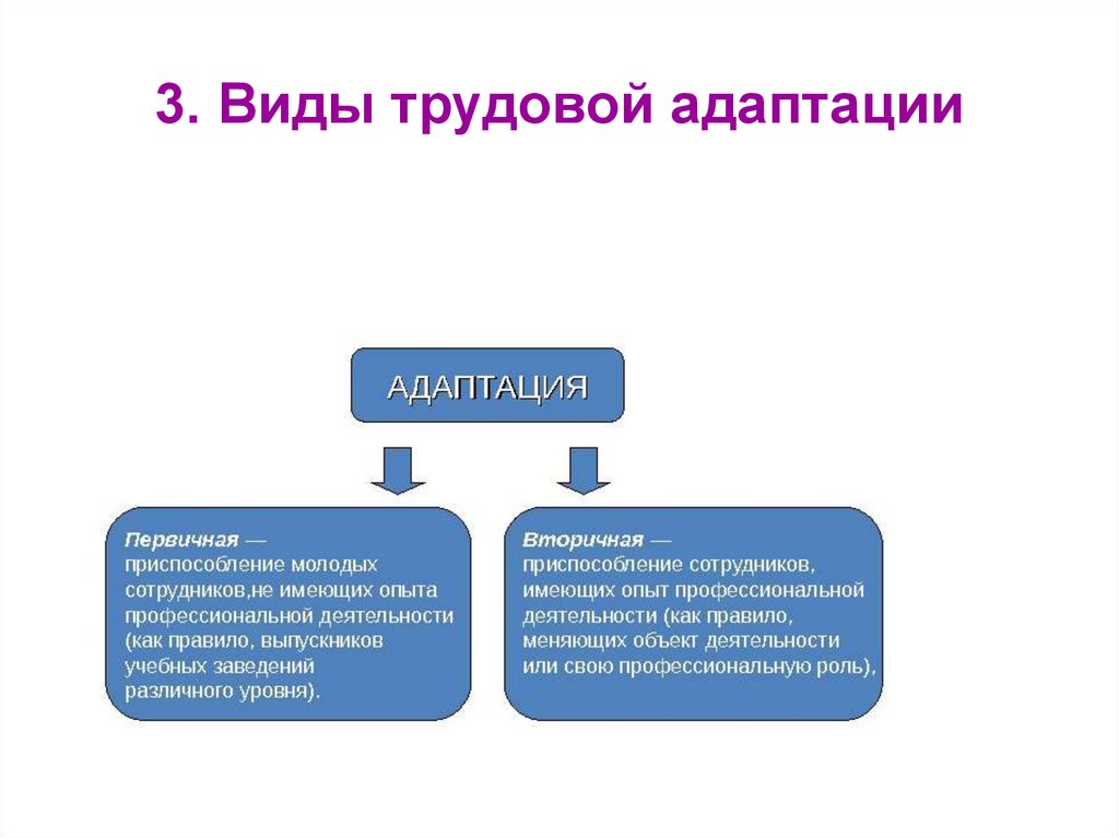 Виды адаптации. Виды трудовой адаптации. Стадии трудовой адаптации. Показатели трудовой адаптации. Структура трудовой адаптации.