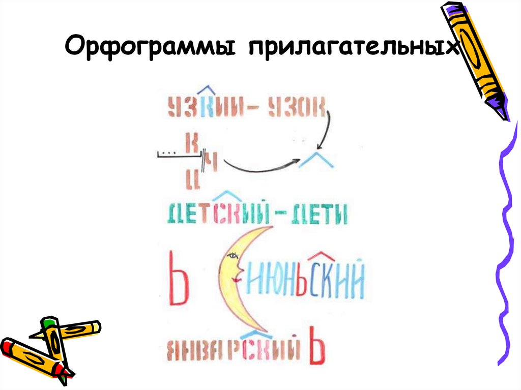 Орфограммы прилагательных