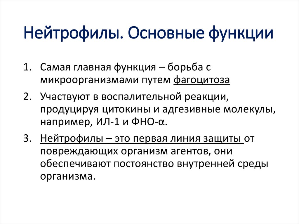 Нейтрофилез. Нейтрофилы. Виды нейтрофилов. Нейтрофилы разновидности. Нейтрофилы кратко.