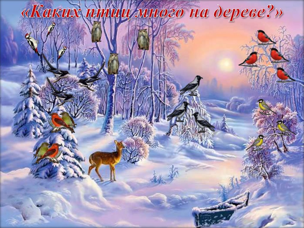 «Каких птиц много на дереве?»