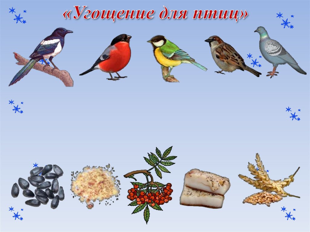 «Угощение для птиц»