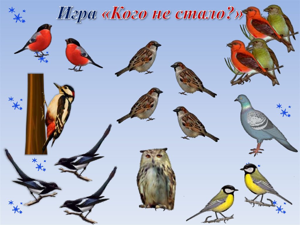 Игра «Кого не стало?»