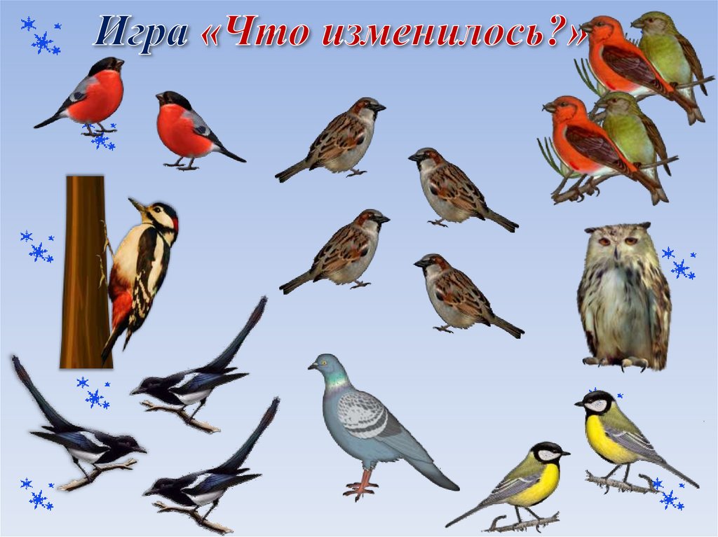 Игра «Что изменилось?»