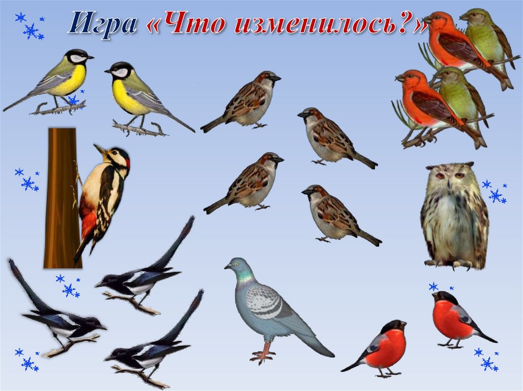 Игра «Что изменилось?»