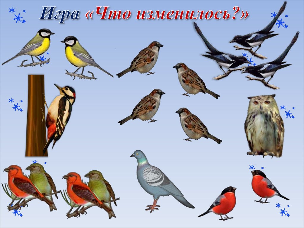 Игра «Что изменилось?»