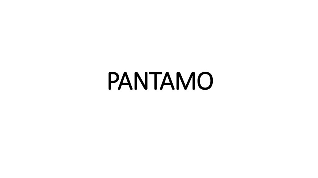 PANTAMO