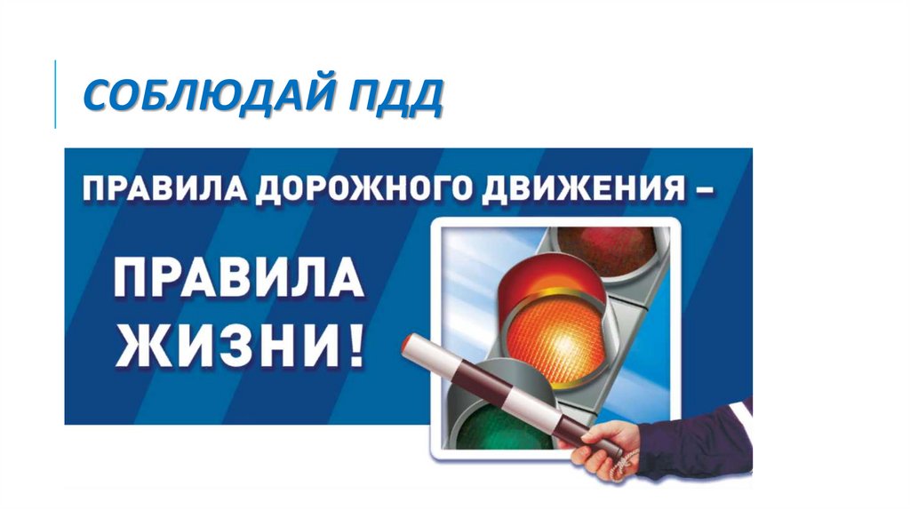 Соблюдай ПДД