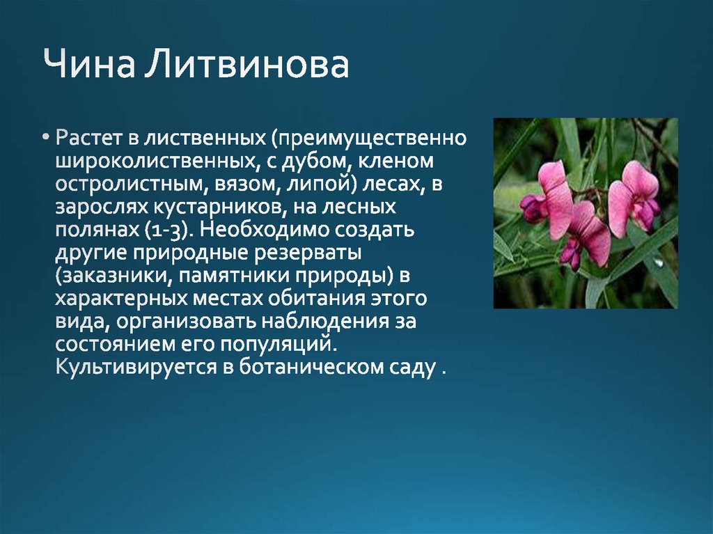 Растения красной книги самарской области фото и описание