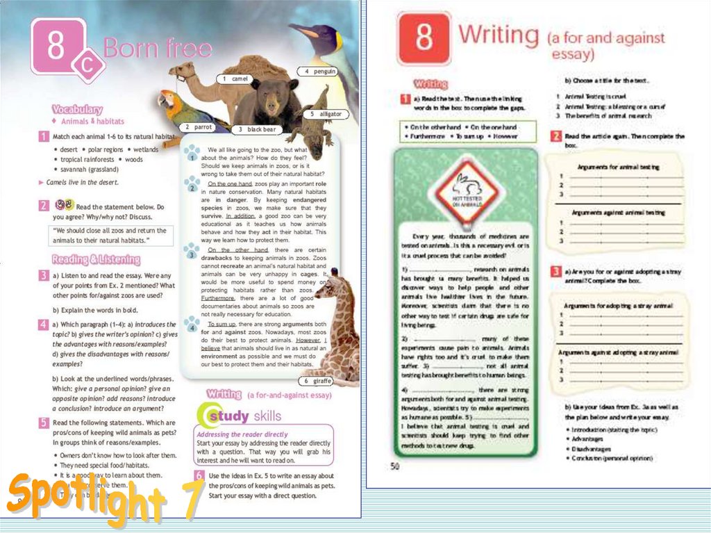 Презентация for and against essay spotlight 9