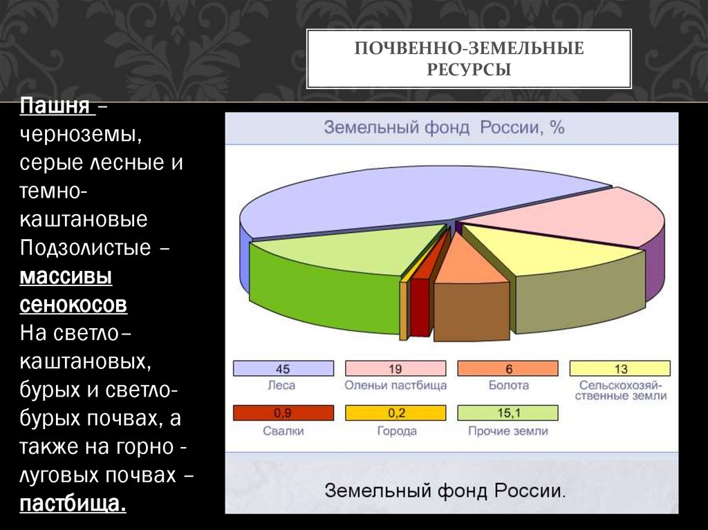 Страны почвенных ресурсов. Наиболее распространенные почвы России.