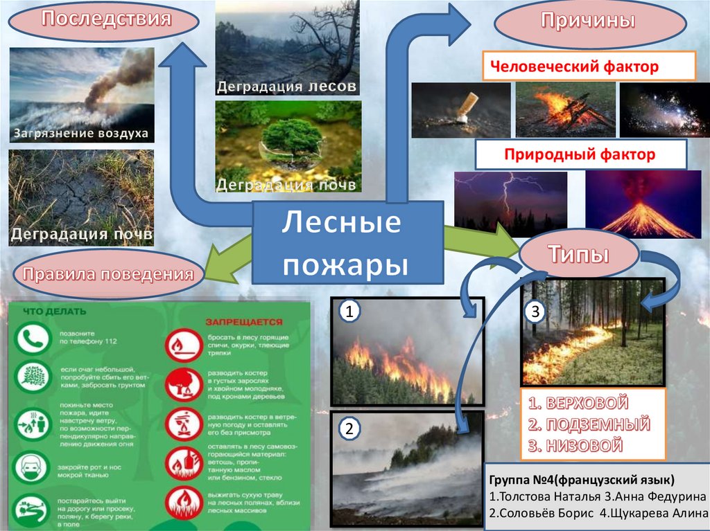 Пожар в лесу какой фактор. Причины лесных пожаров. Причины и последствия природных пожаров. Лесные пожары причины и последствия.