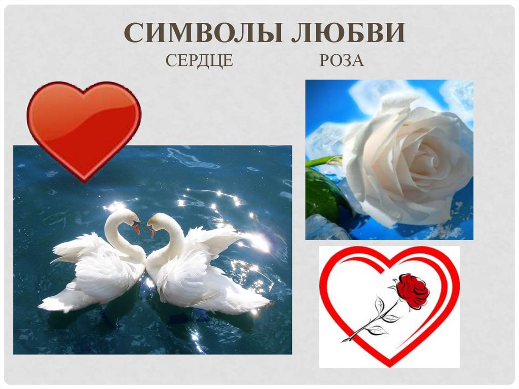 Какой цветок является символом любви в россии