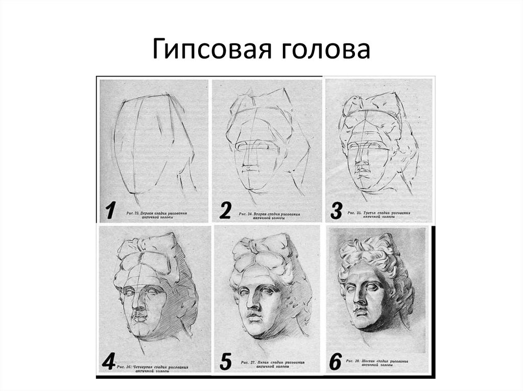 Рисунок гипсовой головы