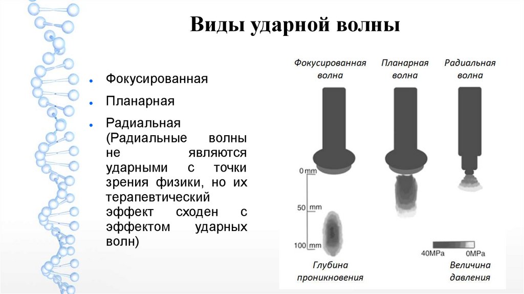 Волны виды волн презентация