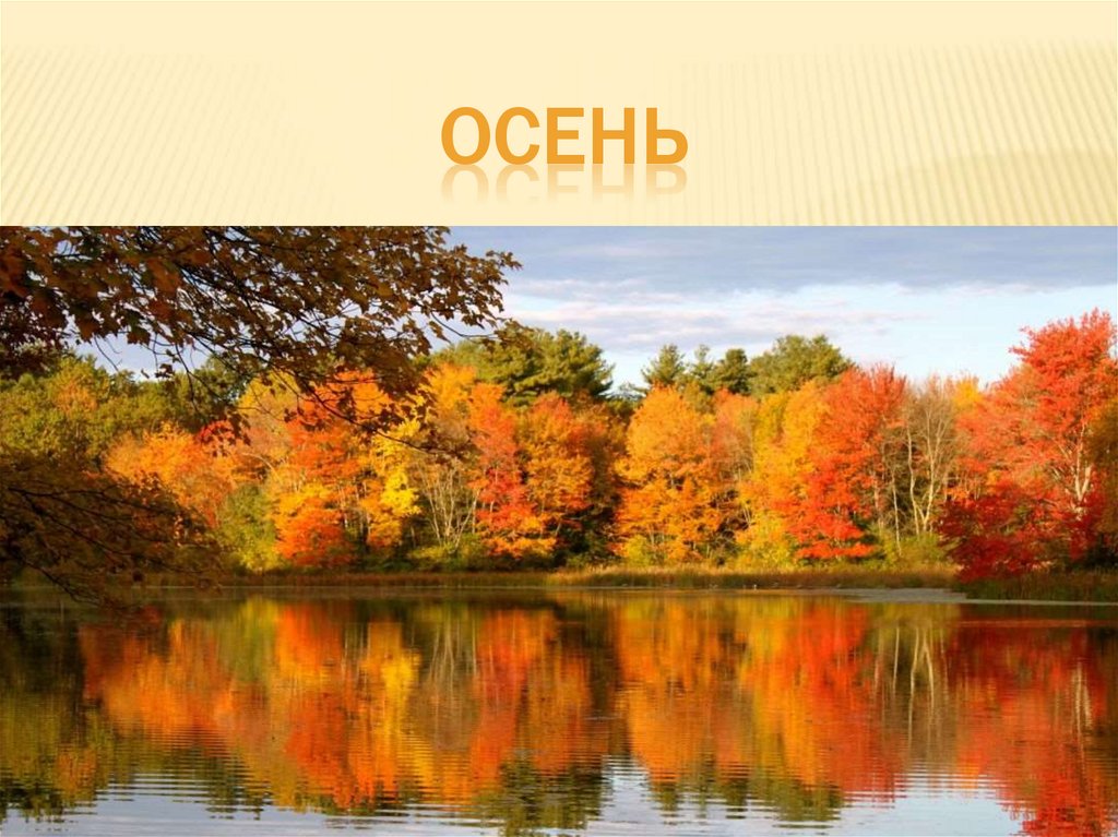 Презентация осень. Осенний пейзаж. Золотая осень. Пиздаж осени.