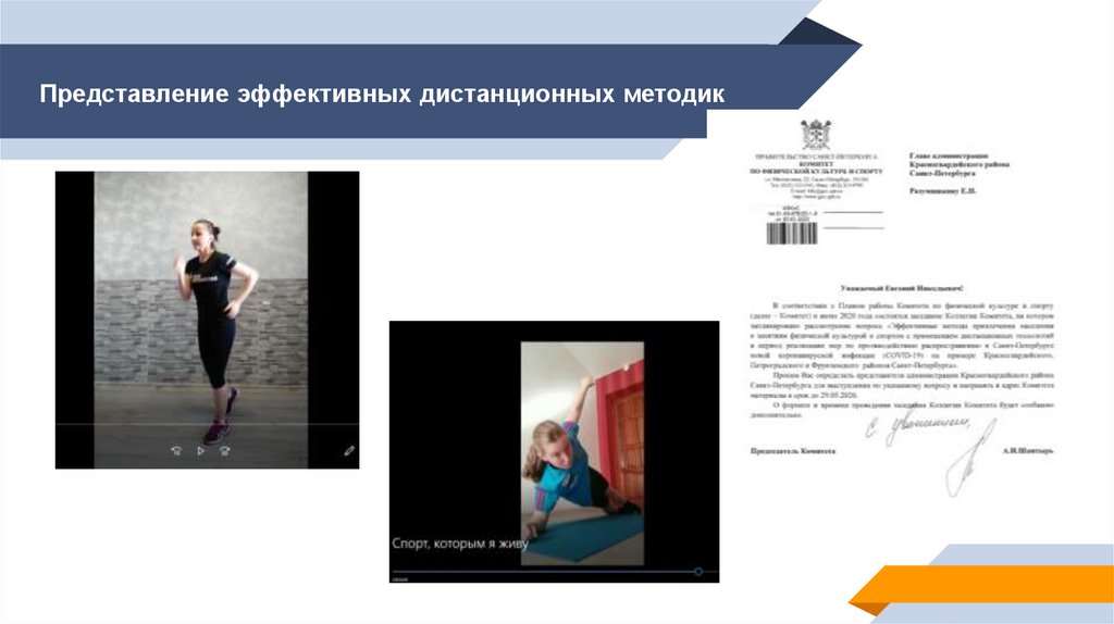 Представление эффективных дистанционных методик