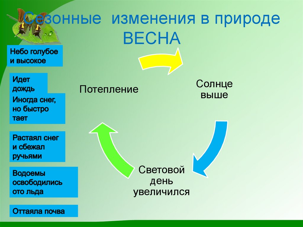 Наука изучающая сезонные изменения живой