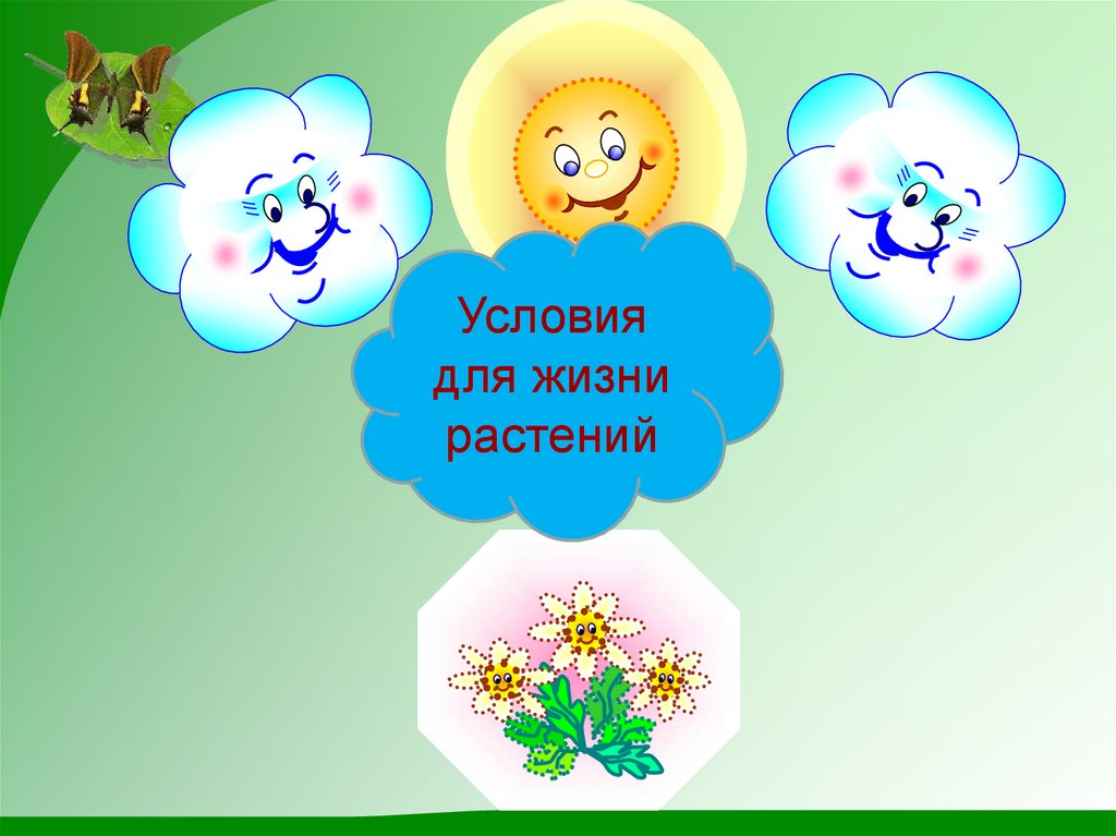 Условия жизни растений