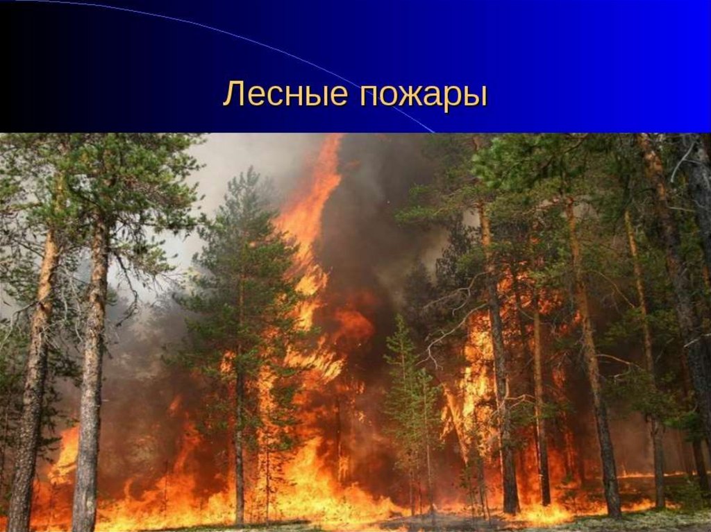 Лесные пожары 2 класс. Пожар в лесу. Экологические катастрофы пожары. Критерии природного пожара. Природные ЧС природные пожары.
