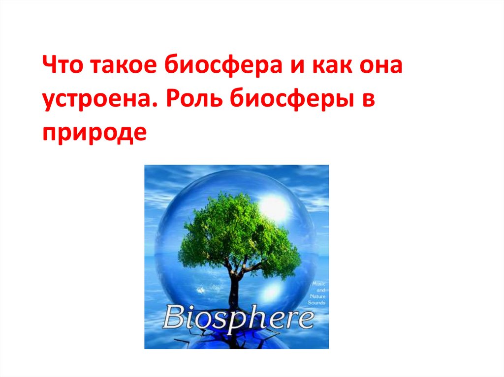 Что такое биосфера