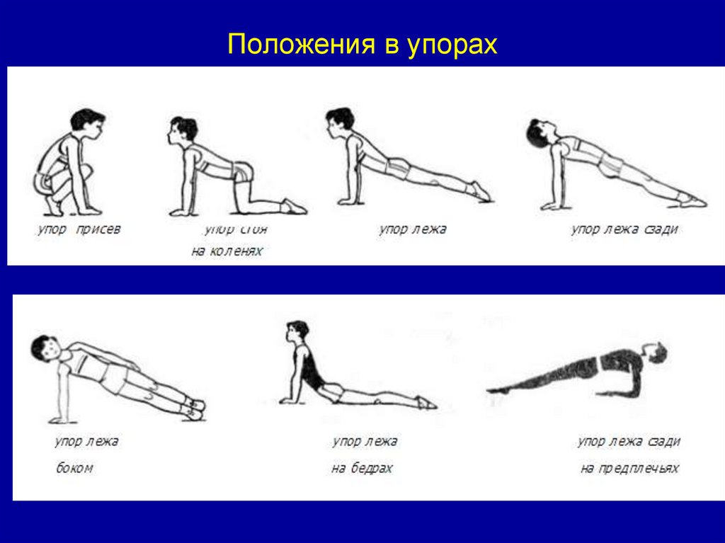 Упор это. Положения в упорах. Упор сидя в гимнастике. Упор лежа гимнастика. Упор это в физкультуре.