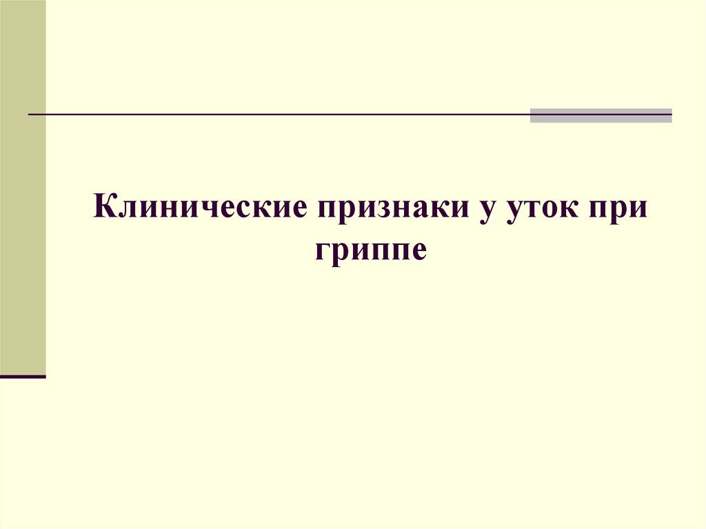 Клинические признаки у уток при гриппе