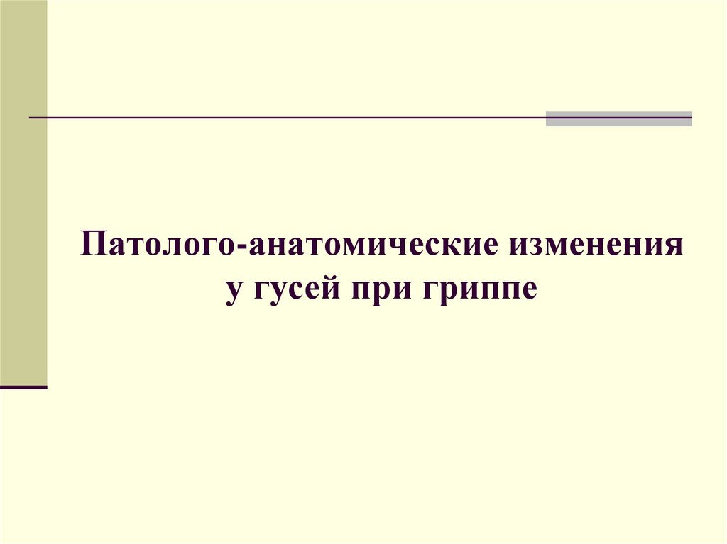 Патолого-анатомические изменения у гусей при гриппе