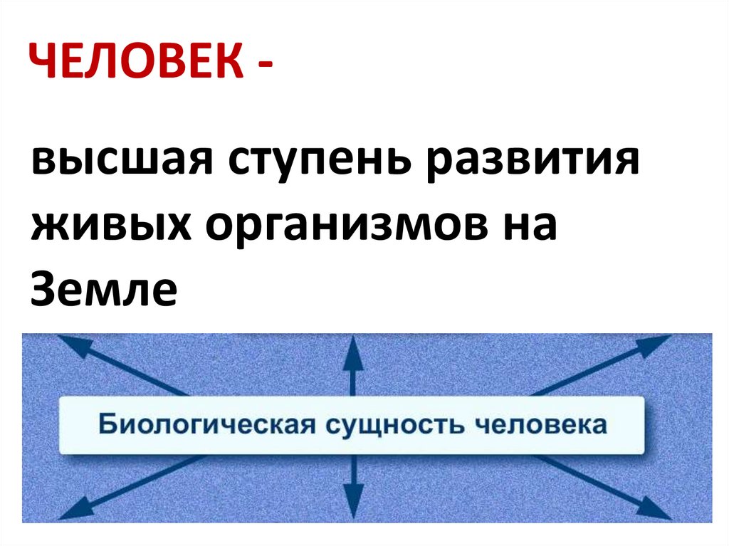 Проект на тему человек в социальном измерении