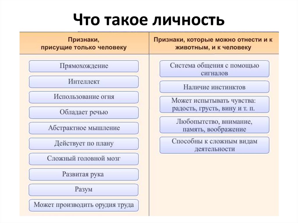 Заключение человек в 21 веке обществознание 10 класс презентация