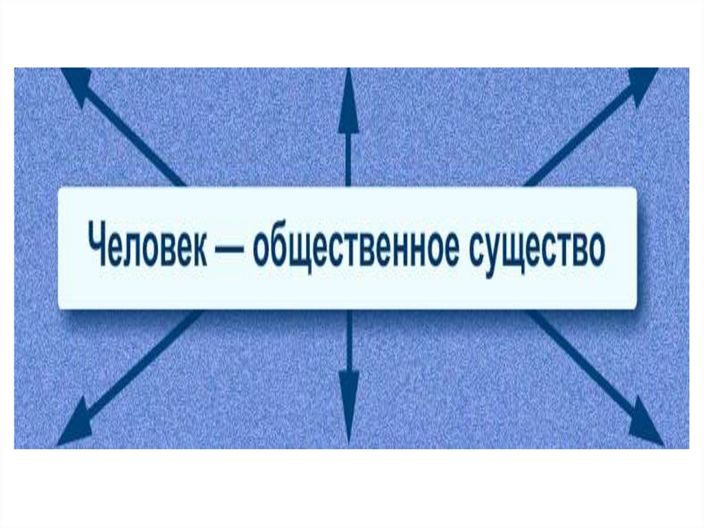 Человек в политической измерении тест. Человек в социальном измерении. Проект в социальном измерении.