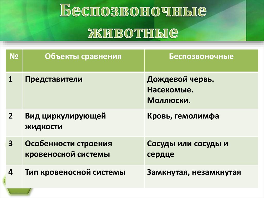 Беспозвоночные и позвоночные животные 3 класс презентация