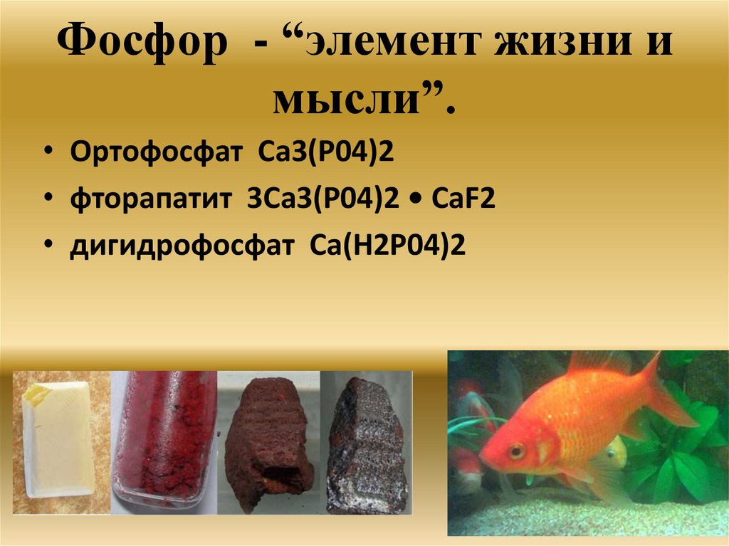 Фосфор - презентация онлайн