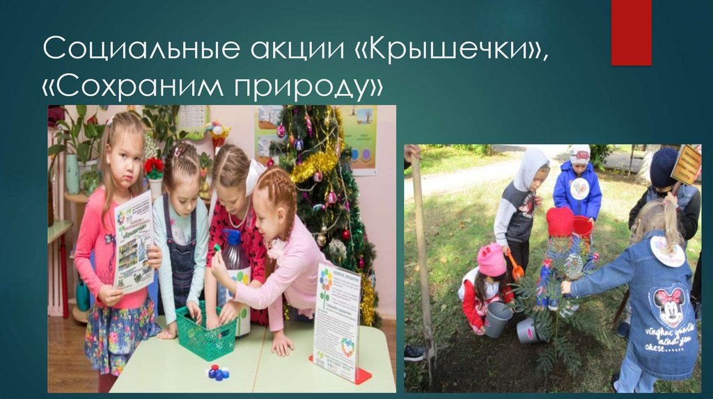 Социальные акции «Крышечки», «Сохраним природу»