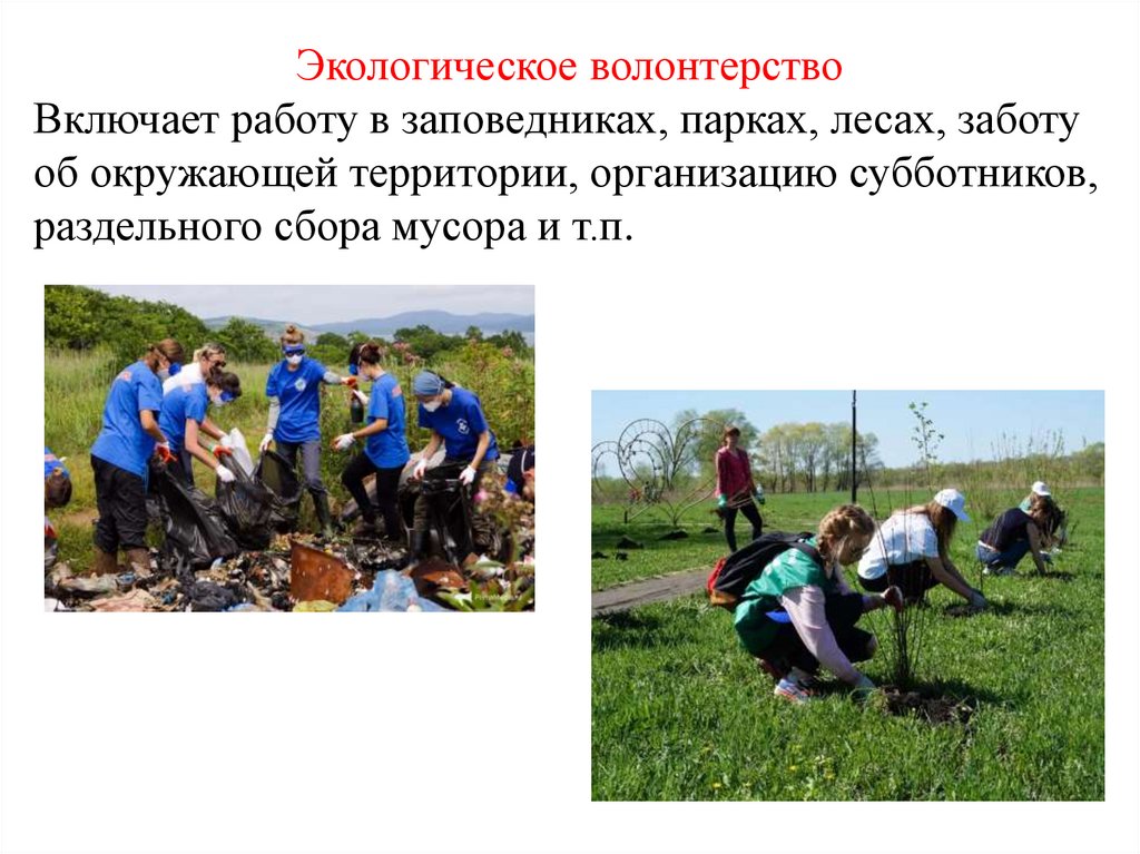 Почему вы стали волонтером. Волонтерство и забота об окружающей среде Пермь объединения. Статья про экологический субботник на предприятии.