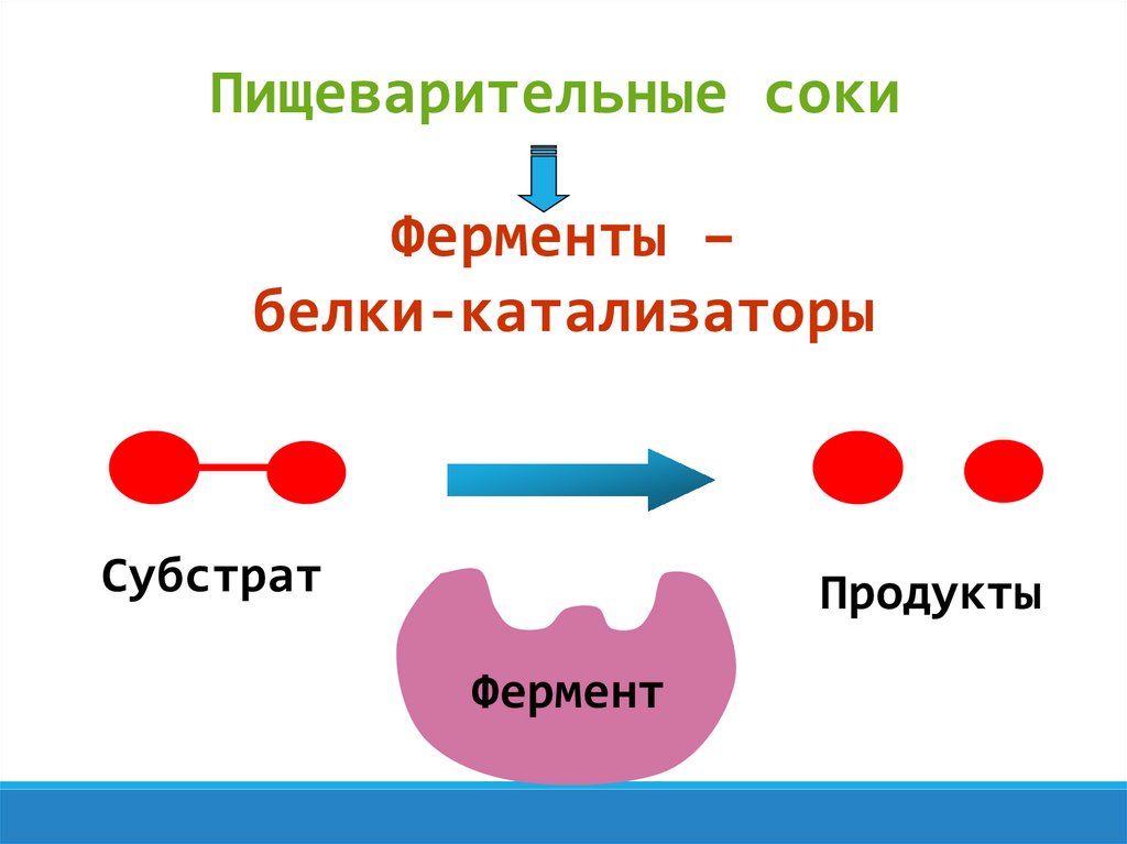 Вещества входящие