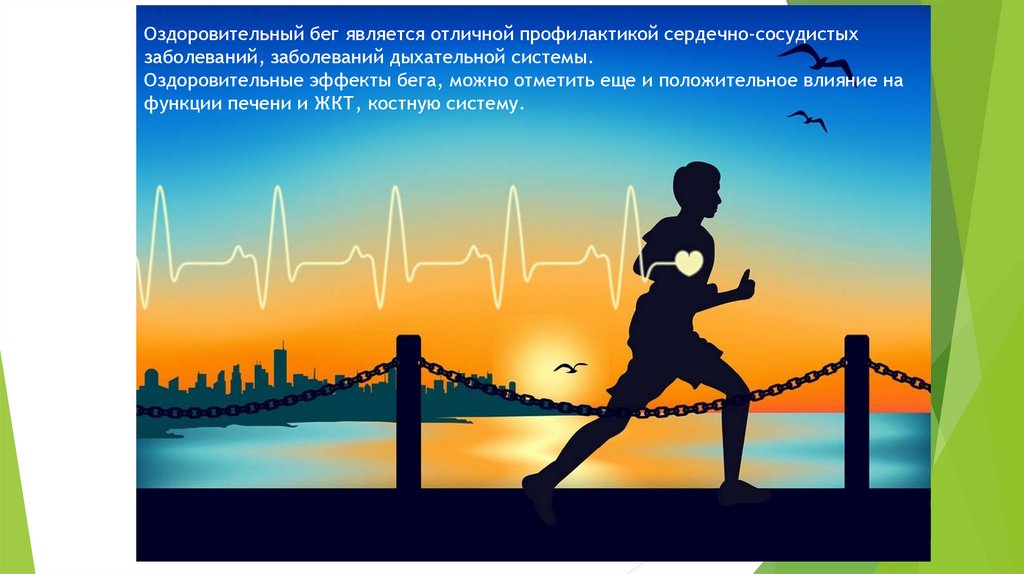 Оздоровительный бег является отличной профилактикой сердечно-сосудистых заболеваний, заболеваний дыхательной системы.